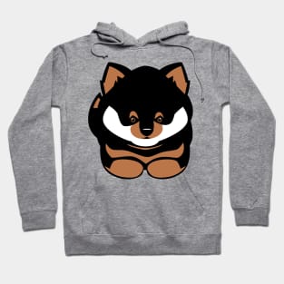 Shiba Inu Puppy Hoodie